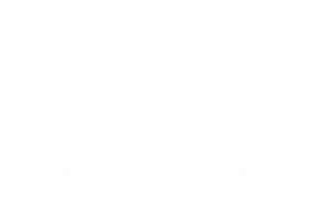 logo-blud